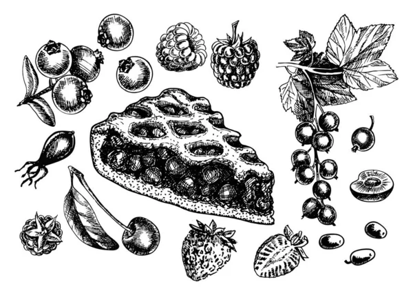 Isolierte Scheiben Beerenkuchen skizzieren. Handgezeichnete Illustration nach Hause backen auf weißem Hintergrund. Verschiedene Arten von Beeren für den Kuchen. Erdbeeren, Himbeeren, Johannisbeeren, Kirschen, Blaubeeren Skizze — Stockvektor