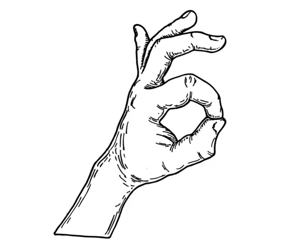 Векторный эскиз. Хорошо знак с пальцами. Икона ОК. Векторная черная винтажная гравировка на белом фоне. — стоковый вектор