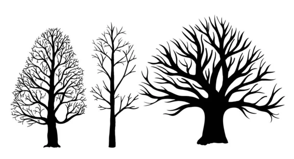 Träd utan blad silhuetter. Vektor bar träd silhuetter. Döda träd utan blad. — Stock vektor