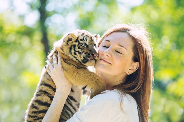 Little baby tiger cub with a woman who takes care of and hugs him in her arms in the wild