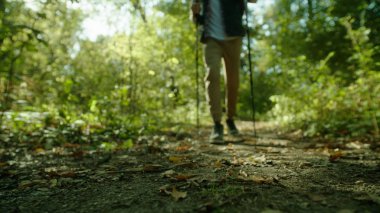 Adam sırt çantası ve baston ile ormanda günbatımı üzerinde hiking
