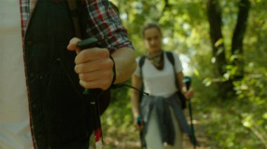 Grup yürüyüşçü sırt çantaları ve düşünce orman yürüyüş sopa ile