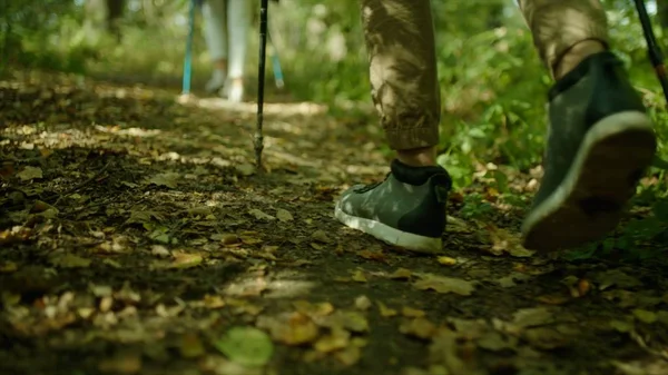 Cerrar botas de trekking y caminar nórdico. Grupo de mochileros haciendo senderismo por el bosque . — Foto de Stock