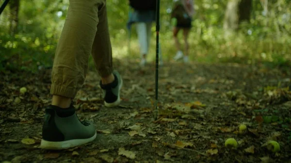 Grupo de caminhantes com mochilas e paus andando na floresta — Fotografia de Stock