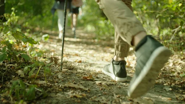 Grupo de excursionistas con mochilas y palos caminando por el bosque —  Fotos de Stock