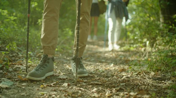 Cerrar botas de trekking y caminar nórdico. Grupo de mochileros haciendo senderismo por el bosque . —  Fotos de Stock