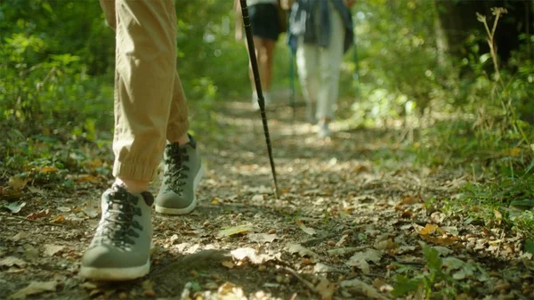 Cerrar botas de trekking y caminar nórdico. Grupo de mochileros haciendo senderismo por el bosque . —  Fotos de Stock