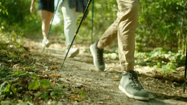 Cerrar botas de trekking y caminar nórdico. Grupo de mochileros haciendo senderismo por el bosque . —  Fotos de Stock