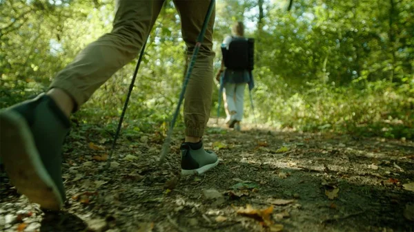 Grup yürüyüşçü sırt çantaları ve düşünce orman yürüyüş sopa ile — Stok fotoğraf