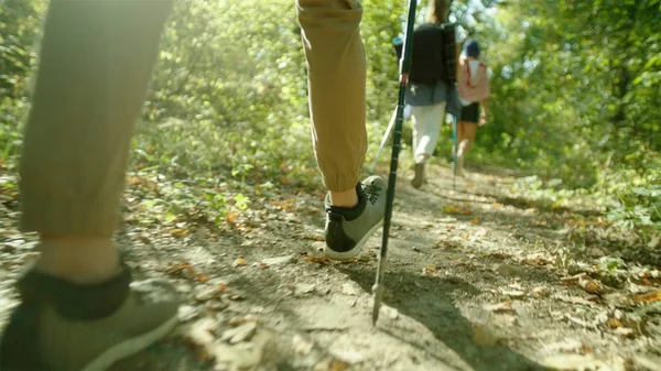 Túrázók hátizsák és a botokat, gondolta az erdő séta csoportja — Stock Fotó