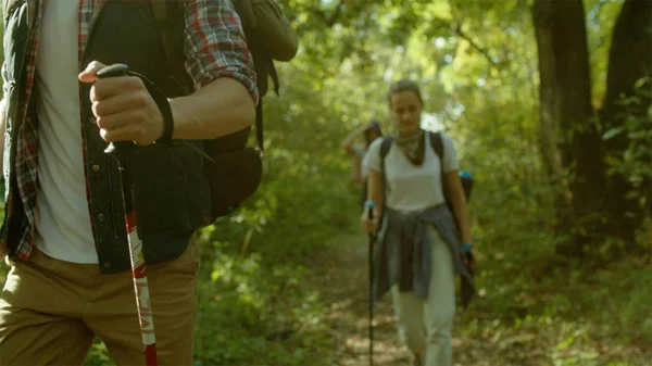 Grup yürüyüşçü sırt çantaları ve düşünce orman yürüyüş sopa ile