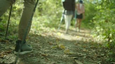 Grup yürüyüşçü sırt çantaları ve ormanda yürüyüş sopa ile