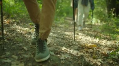 Grup yürüyüşçü sırt çantaları ve ormanda yürüyüş sopa ile