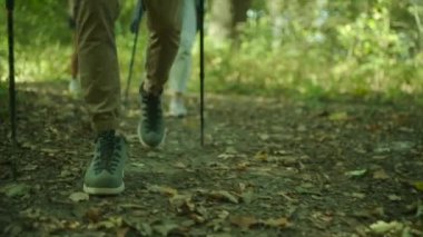 Bot ve Nordik yürüyüş trekking kapatın. Backpackers hiking düşünce tarihinde, orman Grup.