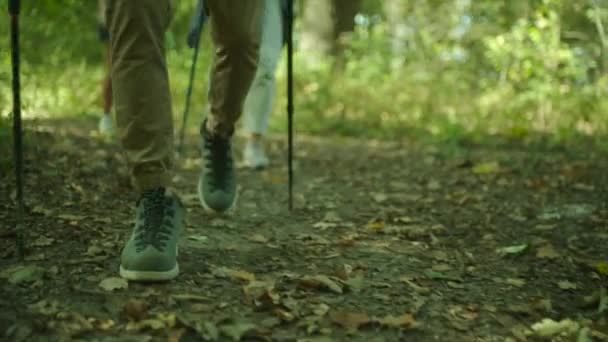 Närbild av trekking kängor och stavgång. Grupp av backpackers på vandring genom skogen. — Stockvideo