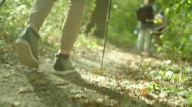 Bot ve Nordik yürüyüş trekking kapatın. Backpackers hiking düşünce tarihinde, orman Grup.