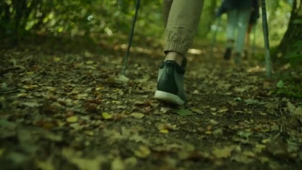 Zblízka trekingové boty a nordic walking. Skupina batůžkářů na pěší přes les. — Stock video