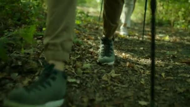 Група мандрівників з рюкзаками і паличками, що ходять у лісі — стокове відео