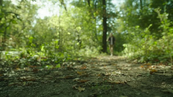 Чоловік ходить в лісі з рюкзаком і ходить палицями на заході сонця — стокове відео