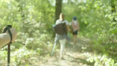 Grup yürüyüşçü sırt çantaları ve ormanda yürüyüş sopa ile