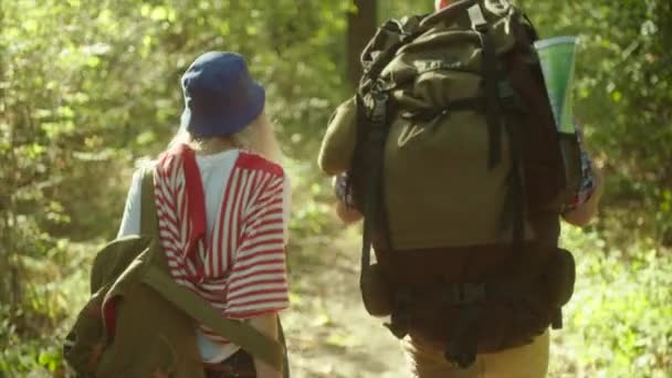 Pareja joven abrazándose durante el senderismo en el bosque con mochilas — Vídeos de Stock