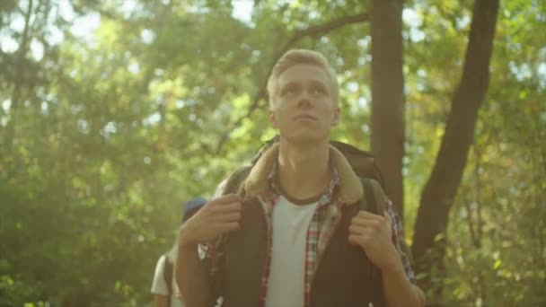 Groep wandelaars met rugzakken en stokken wandelen in het woud — Stockvideo