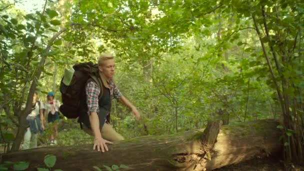 Groep wandelaars met rugzakken wandelen in het woud — Stockvideo