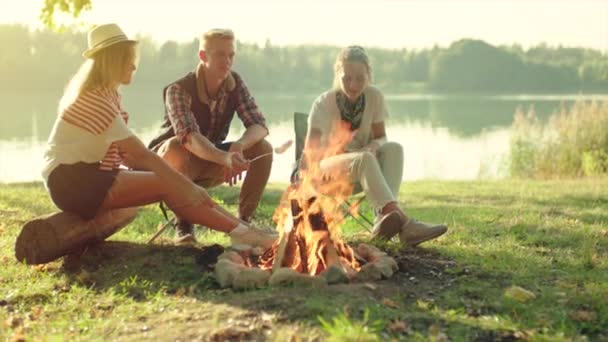 Amigos cocinando malvaviscos en el picnic cerca del lago en el parque — Vídeo de stock