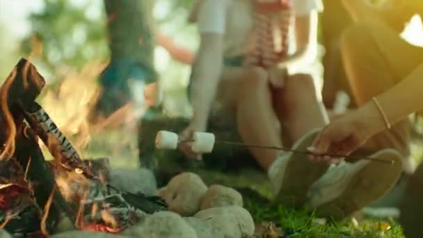 Matlagning marshmallows på brasa på vandring — Stockvideo