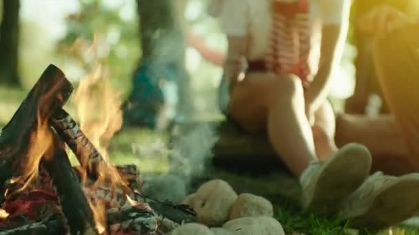 Close up van vreugdevuur in kamperen op zomervakantie — Stockvideo