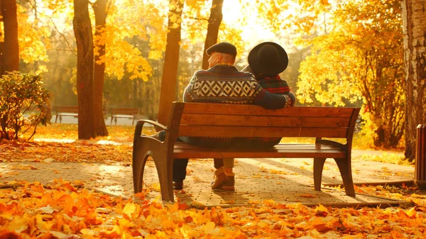 Pareja mayor disfrutando de la puesta de sol en el banco en el parque de otoño —  Fotos de Stock