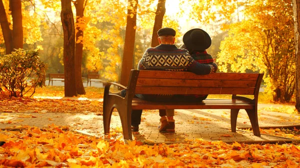 Üst düzey çift günbatımı sonbahar parkta bankta zevk