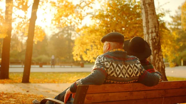 Üst düzey çift günbatımı sonbahar parkta bankta zevk