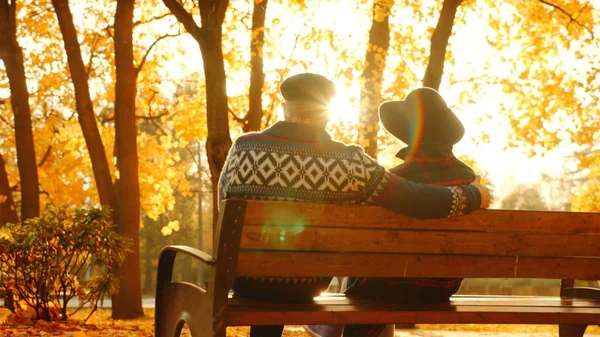 Pareja mayor disfrutando de la puesta de sol en el banco en el parque de otoño —  Fotos de Stock