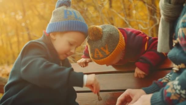Malí kluci hrají šachy s otcem na lavičce v podzimním parku — Stock video