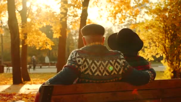 Casal sênior desfrutando do pôr do sol no banco no parque de outono — Vídeo de Stock