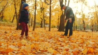 Dede ve torunu düşen yapraklar savurma ve sonbahar parkta oynarken