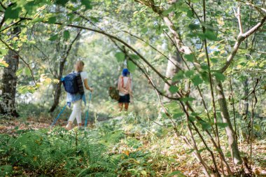Genç çift ormanda yürüyüş nordic sopa ile yürüyüşe sahip
