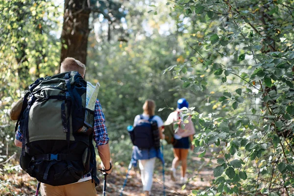 Backshot de Grupo de amigos dando un paseo con palos nórdicos en la caminata por el bosque —  Fotos de Stock