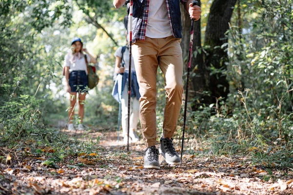 Backshot de Grupo de amigos dando un paseo con palos nórdicos en la caminata por el bosque —  Fotos de Stock