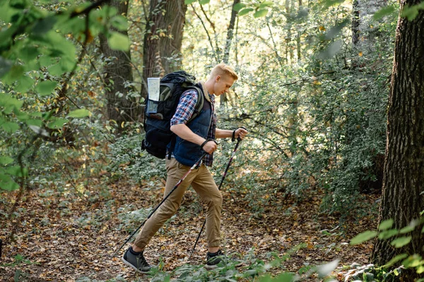 Young man hiking with nordic walking sticks and the huge backpack in the forest