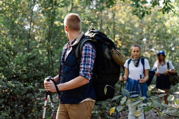 Grupo de amigos dando un paseo con palos nórdicos en la caminata por el bosque — Foto de Stock