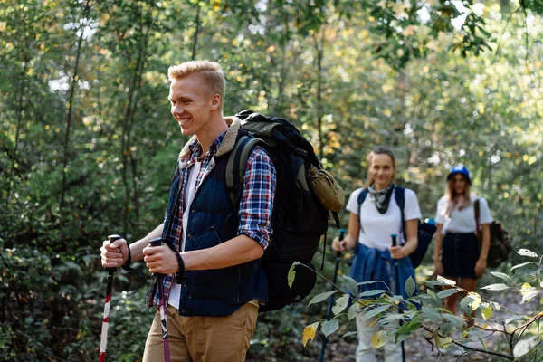 Mejores amigos haciendo senderismo con palos nórdicos en el bosque — Foto de Stock