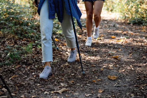 Acercamiento piernas femeninas de excursionistas con palos nórdicos —  Fotos de Stock