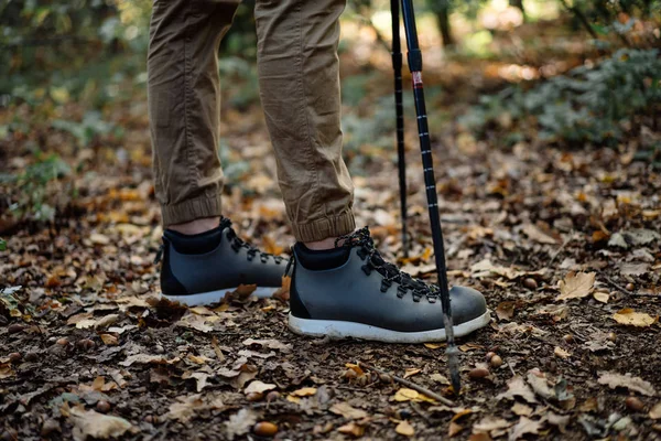 Close up male trekking boots with nordic sticks on hike in forest