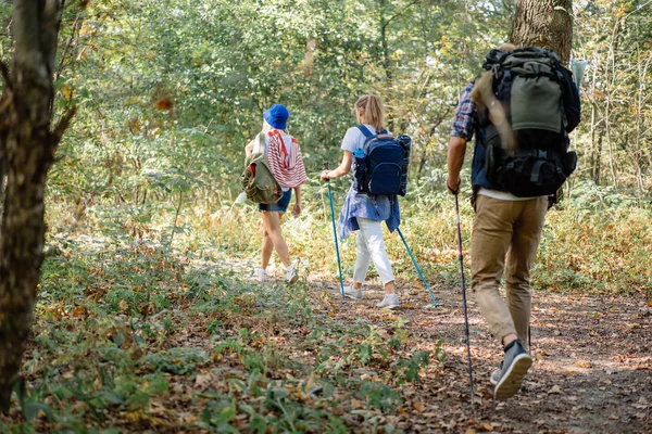 Antecedentes de excursionistas dando un paseo con palos nórdicos en la caminata por el bosque — Foto de Stock