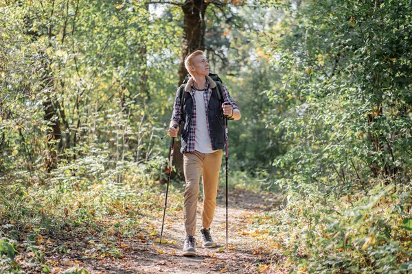Fiatal férfi élvezi túrázás egyedül a nordic walking botok az erdő — Stock Fotó