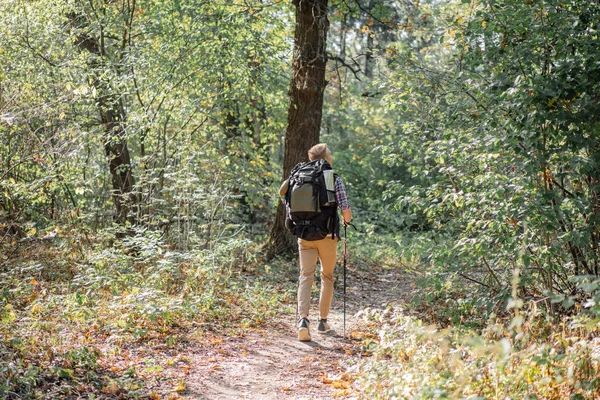 Joven disfrutando de senderismo solo con bastones nórdicos en el bosque — Foto de Stock