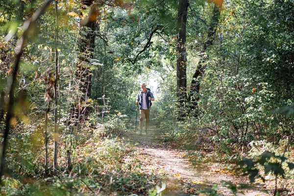 Joven disfrutando de senderismo solo con bastones nórdicos en el bosque —  Fotos de Stock