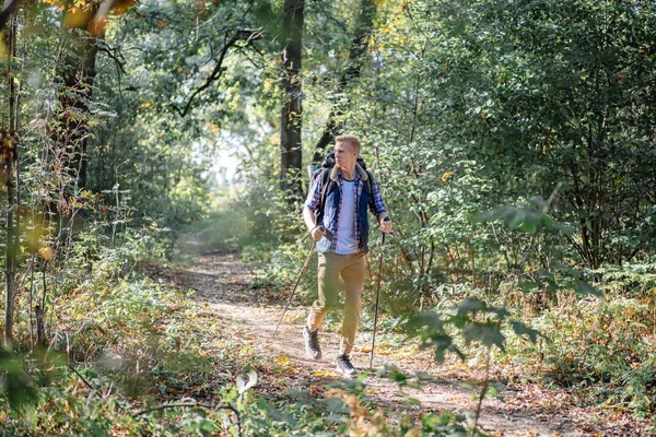 Joven disfrutando de senderismo solo con bastones nórdicos en el bosque — Foto de Stock